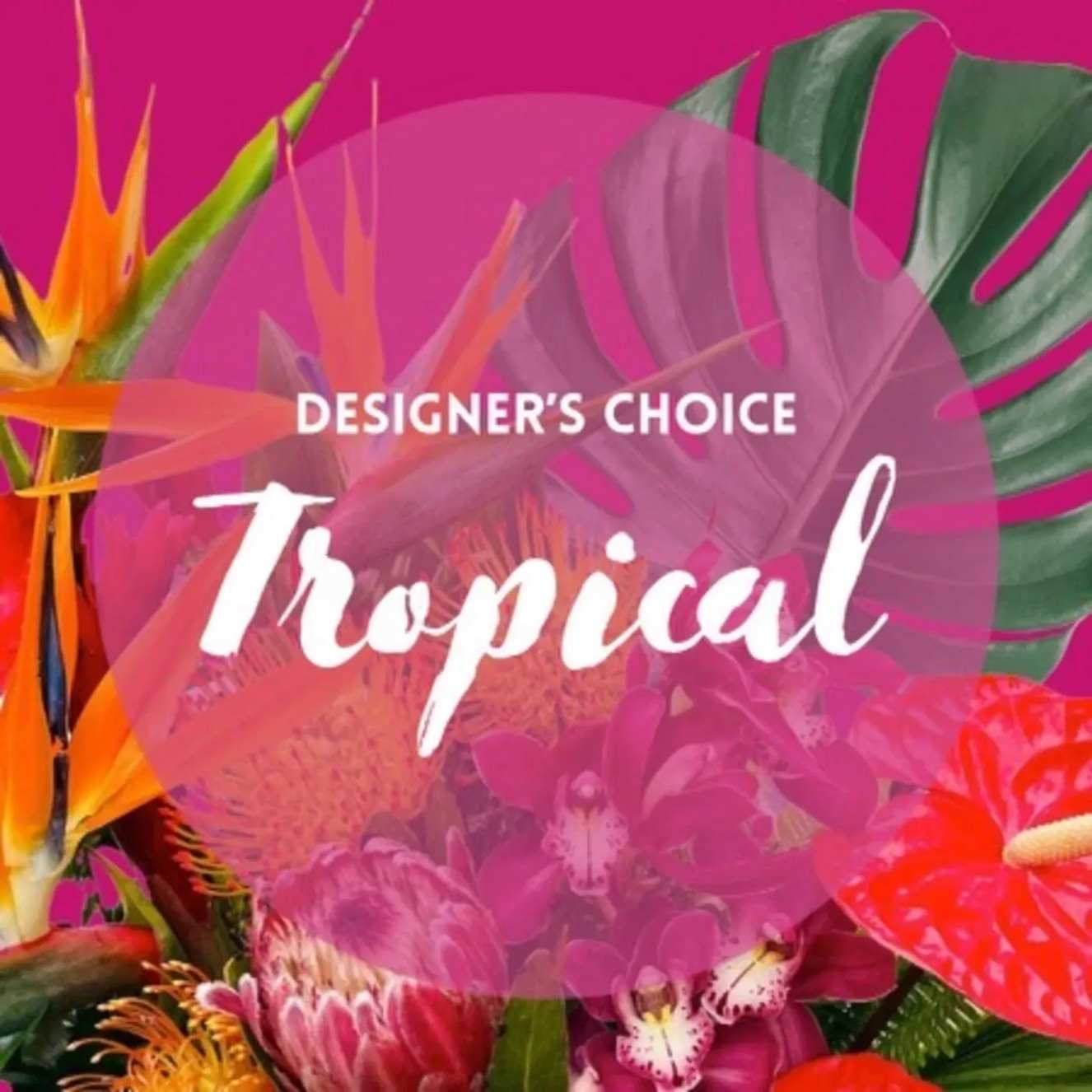 Designer's Choice Tropical Arrangement 