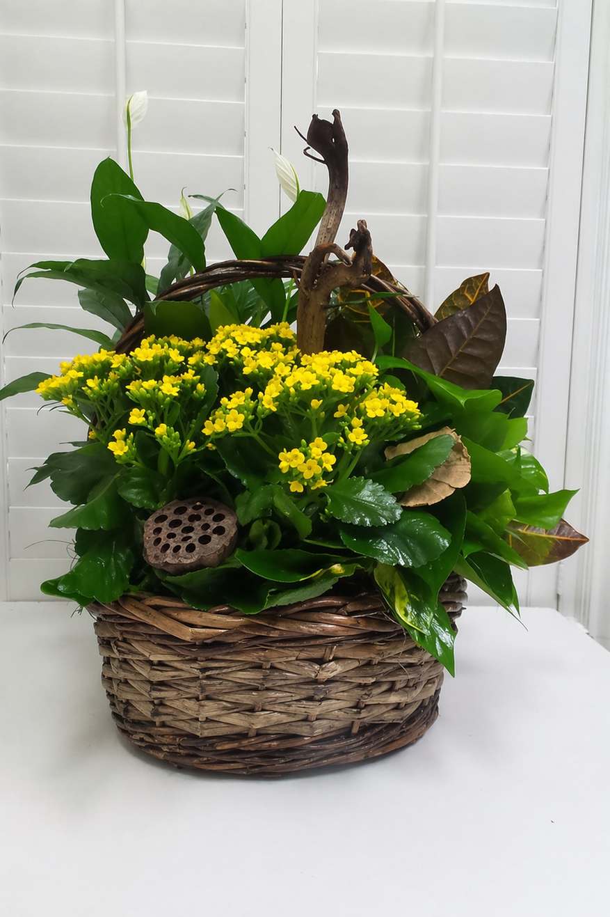 Planter Basket