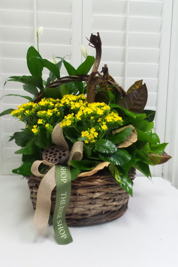 Planter Basket